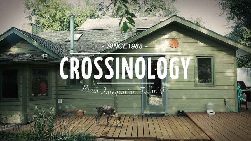 Crossinology: Meet Susan McCrossin
